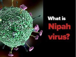 What is Nipah Virus ?